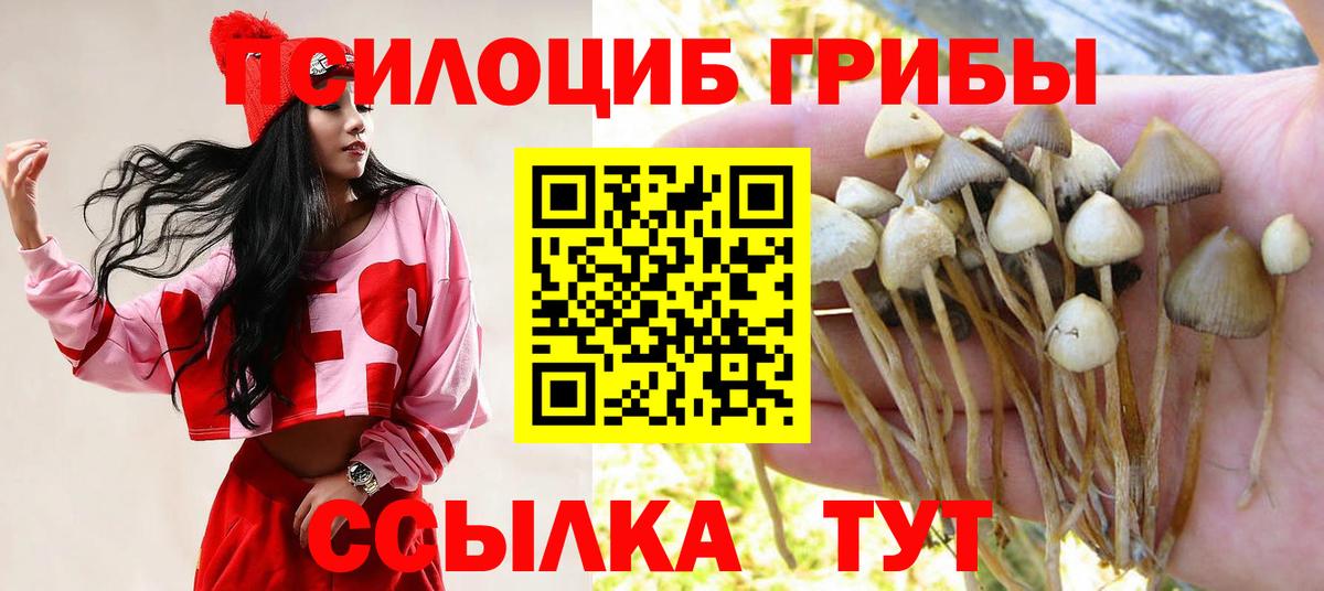 Галлюциногенные грибы Cubensis  Вход с VPN  Омск 