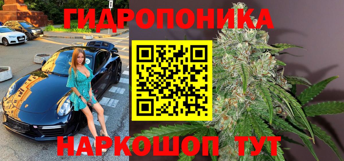 Омск  Бошки Шишки конопля  Канабис Bruce Banner  МАРИХУАНА конопля  Шишки марихуана конопля  Вход с VPN 